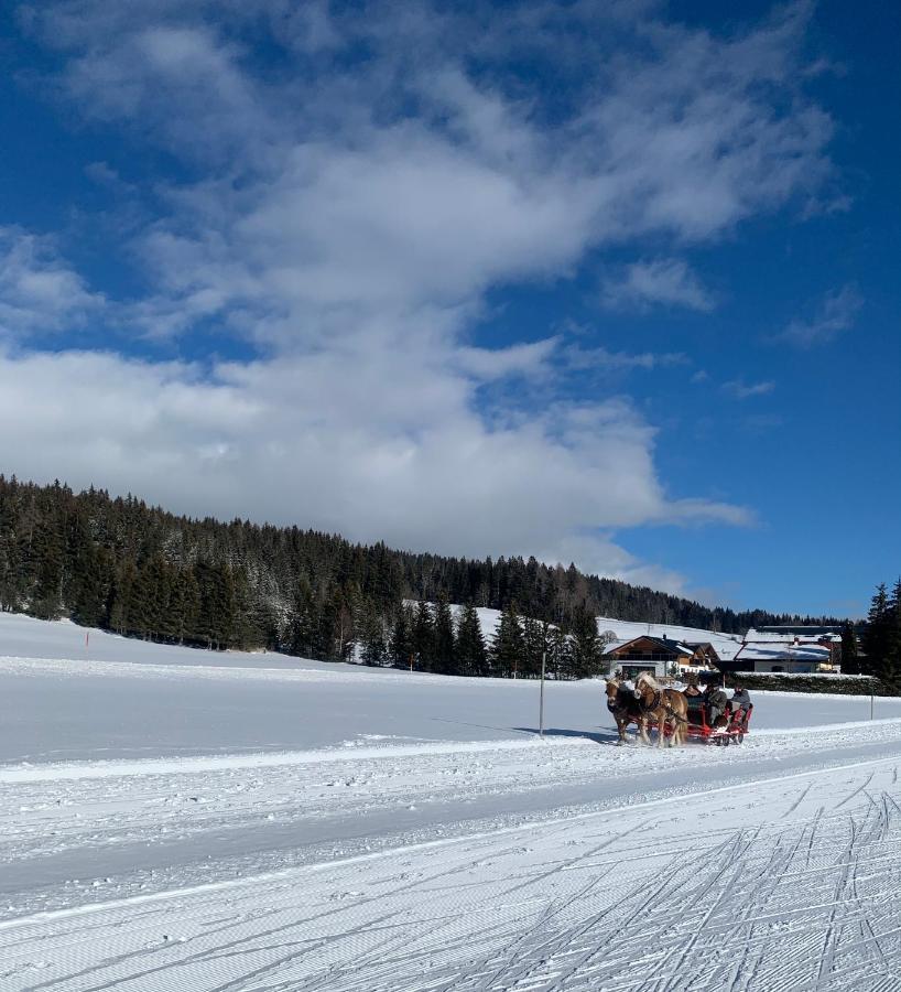 Haus Anna Apartment Ramsau am Dachstein Ngoại thất bức ảnh